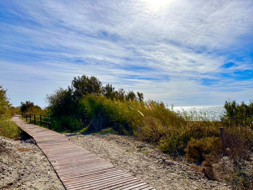 Concluye la mejora y ampliación de la playa de las Azucenas en Motril para convertirse en una reserva natural